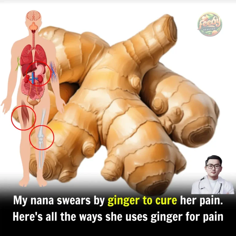 12 Health Benefits Of Ginger – Nausea, Pain, Inflammation, Heart Burn, And More
