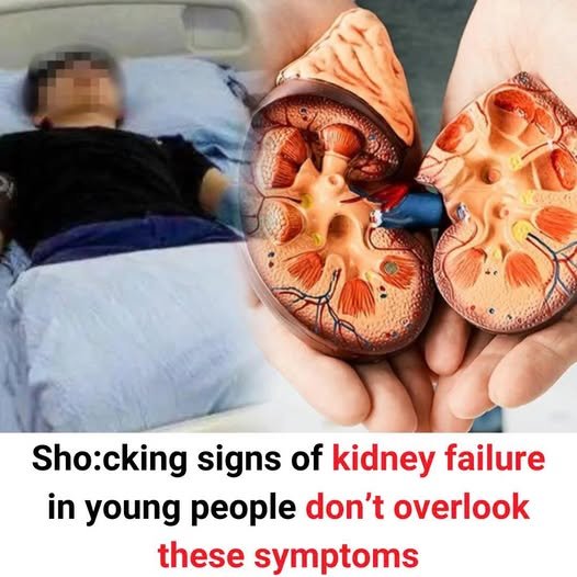 Kidney Failure
