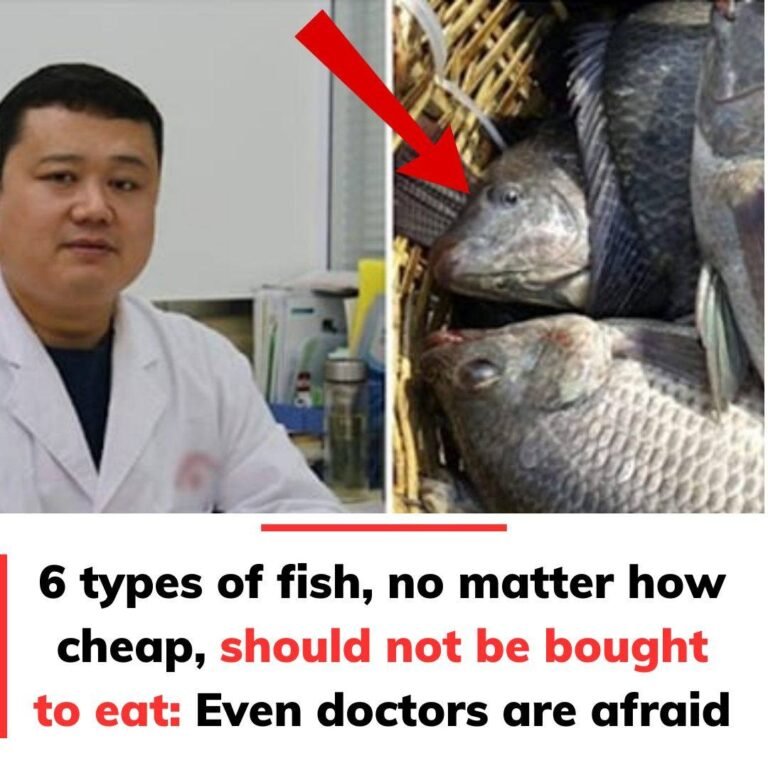 types of fish
