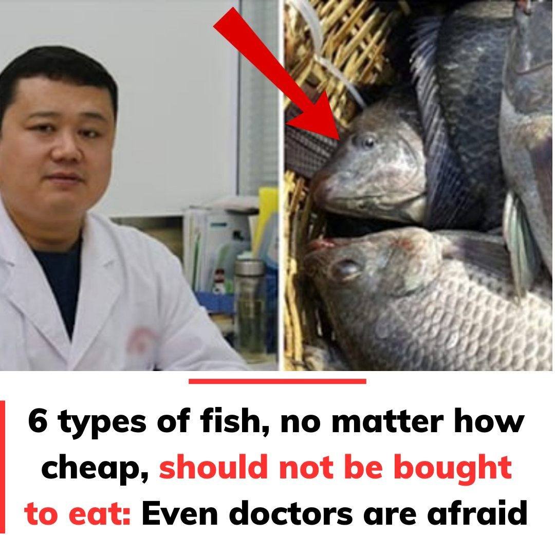 types of fish