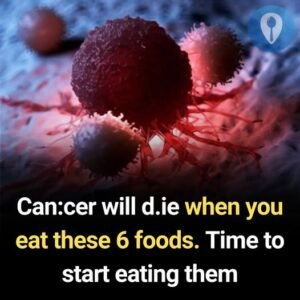 Anti-Cancer Foods