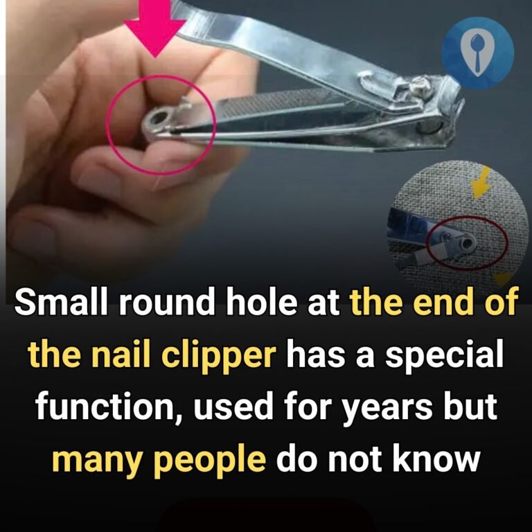 nail clipper