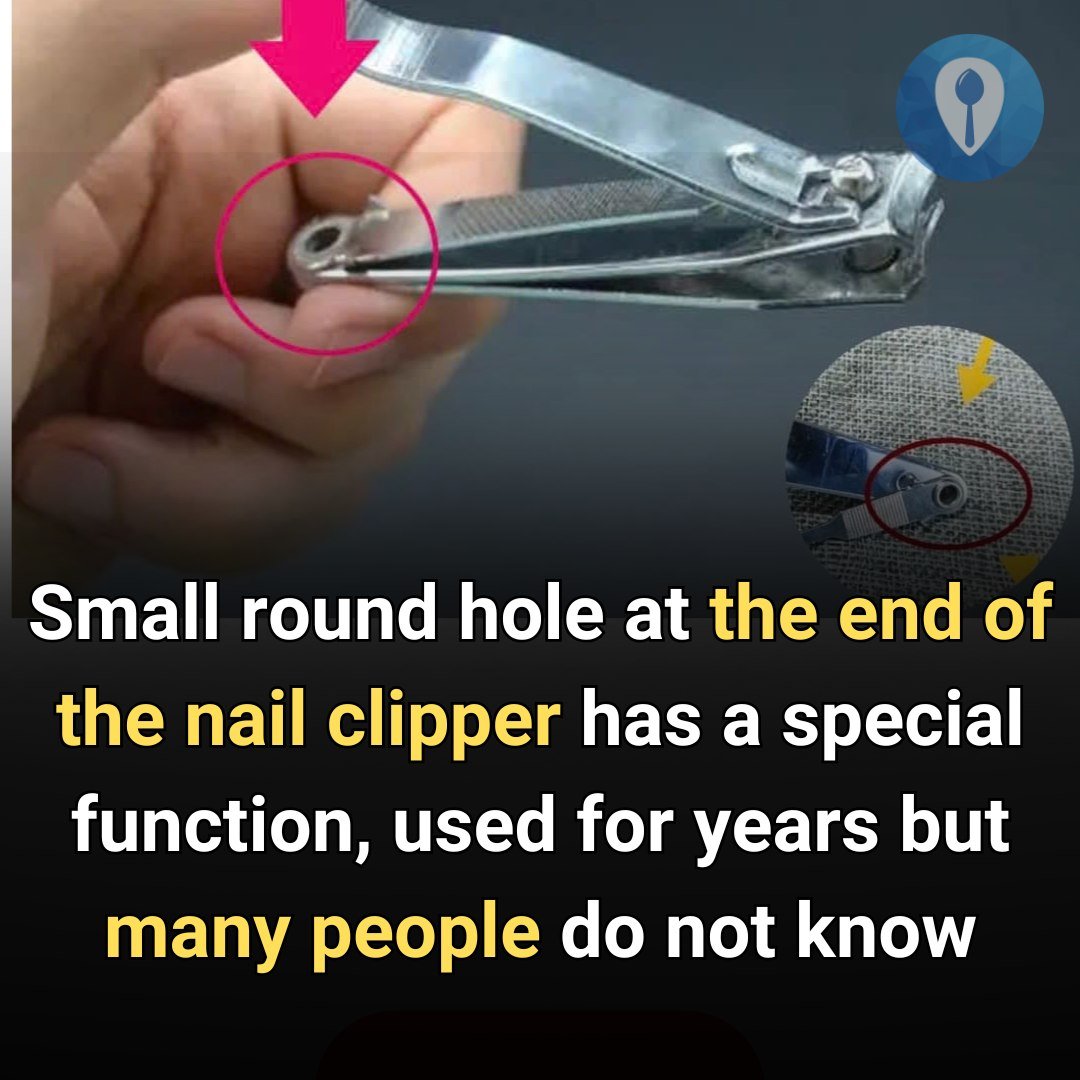 nail clipper