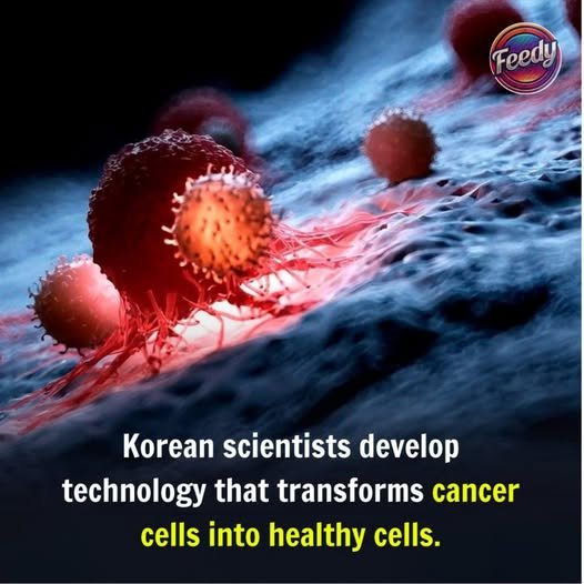 Cancer Cells