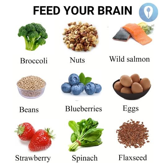 Feeding Brain